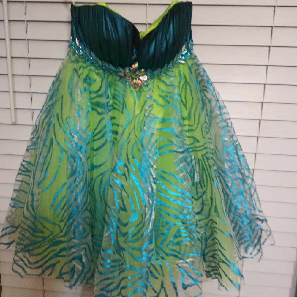 Hannah S Dress